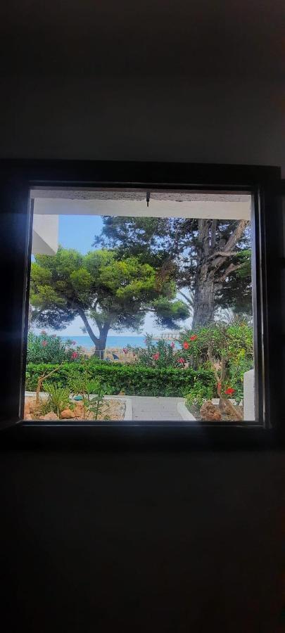 Apartamento Frente Al Mar Alcossebre Extérieur photo